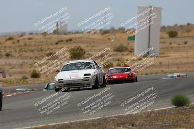 media/May-03-2025-Lucky Dog Racing (Sat) [[206de64b9d]]/Turn 6 (150pm-230pm)/